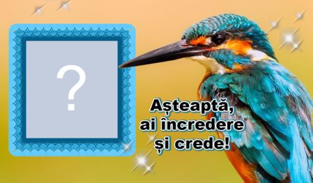 Cadru frumos de speranță cu o pasăre.. Adăugați o fotografie!