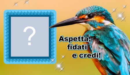 Bella cornice di speranza con un uccellino. Aggiungi una foto!