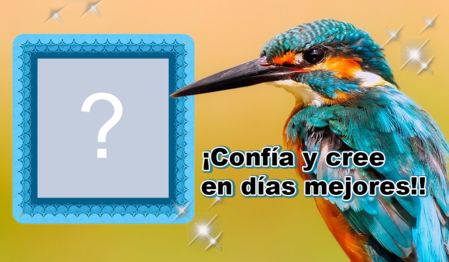 Hermoso marco de esperanza con un pajarito. Añadir una foto!