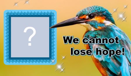 Beautiful frame of hope with a little bird. Add a photo!