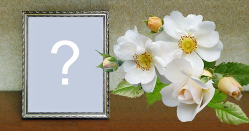 Moldura com borda prateada e rosas brancas. Adicione uma foto!