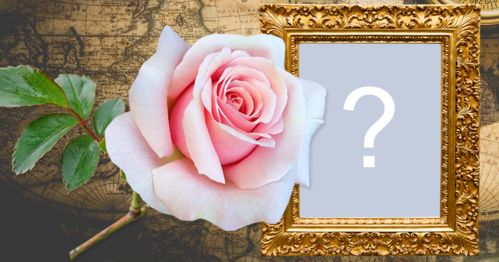 Moldura com fundo vintage, borda dourada e rosa! Adicione uma foto! Moldura com fundo vintage, borda dourada e rosa! Adicione uma foto!