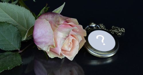 Adicione sua foto preferida em um lindo medalhão ao lado de uma rosa!