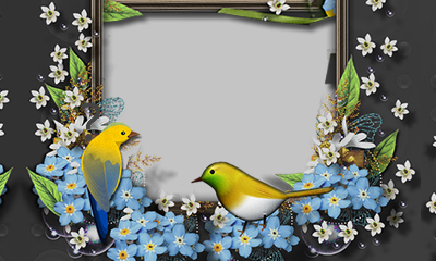 Moldura Love com passarinhos. Adicione a sua foto!