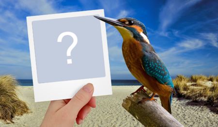 Belíssima moldura com passarinho. Adicione a sua foto!