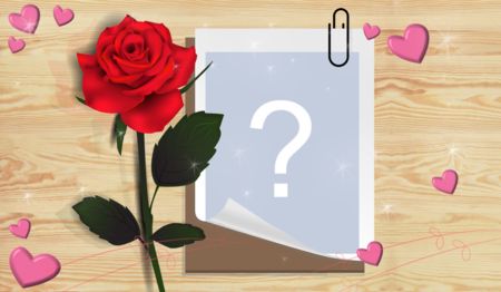 Beautiful frame with red rose bud!