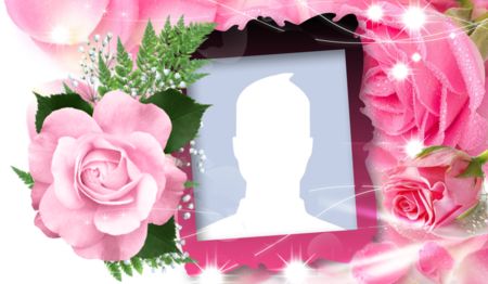 Linda moldura de rosa cor de rosa! Linda moldura de rosa cor de rosa!