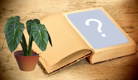 Plasați fotografia pe prima pagină a cărții. Adauga o fotografie!