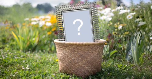 Placez votre photo dans un cadre dans un panier!