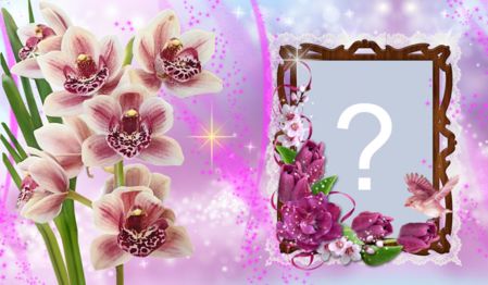  Marco de orquídeas. ¡Crea el tuyo!
