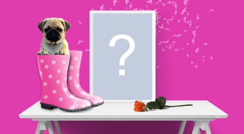 Schöner Rahmen mit Welpen. Füge ein Foto hinzu!