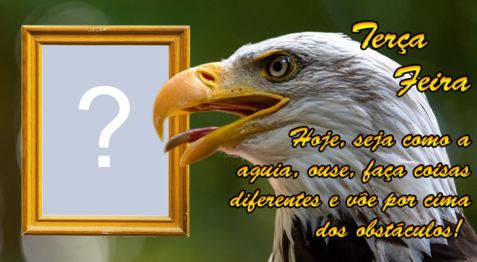 Moldura com mensagem motivacional da aguia para a sua Terça Feira. Adicione uma foto!