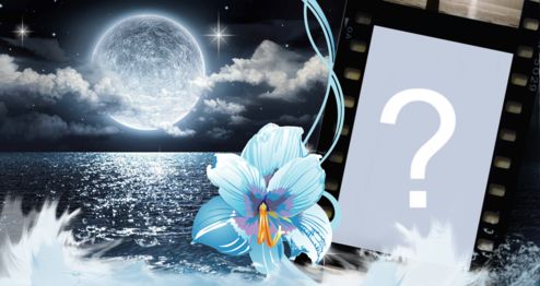 Moldura de noite enluarada. Crie a a sua!