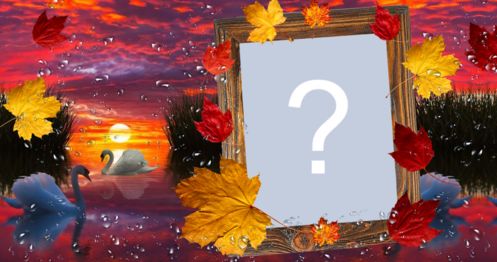 Marco de cisne con hojas voladoras.