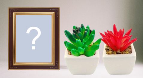 Faça sua foto com suculentas. Para fazer adicione uma foto!