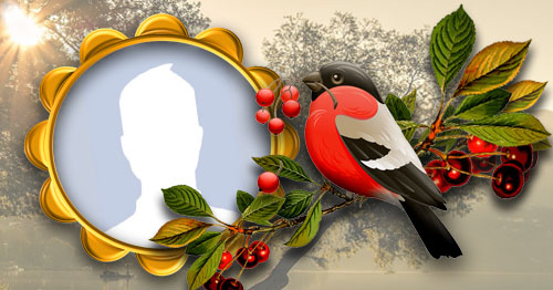 Linda moldura com passarinho vermelho. Adicione a sua foto!