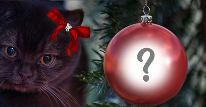 Linda moldura de Natal com gatinho. Coloque a sua foto na bolinha!