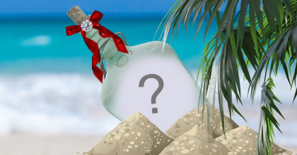 Coloque sua foto nesta linda fotomontagem de garrafa!