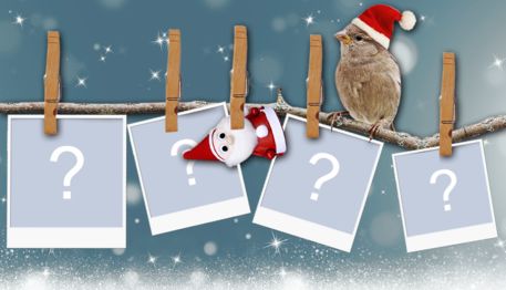 Monte um lindo varal de Natal com 4 fotos!