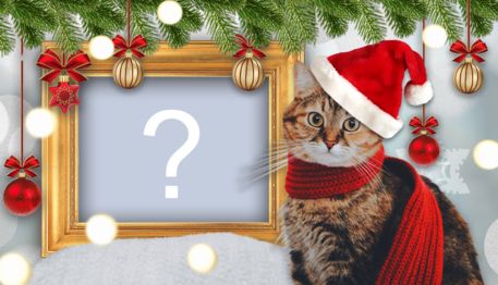 Linda moldura de Natal com gato de gorro vermelho. Adicione a sua foto!
