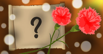 Linda moldura com flores de cravos. Adicione sua foto!