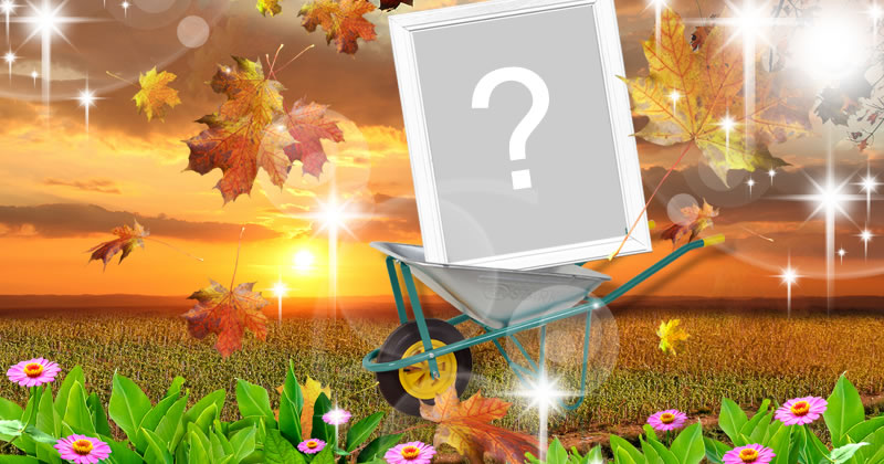 Coloque sua foto dentro da carriola em um jardim!