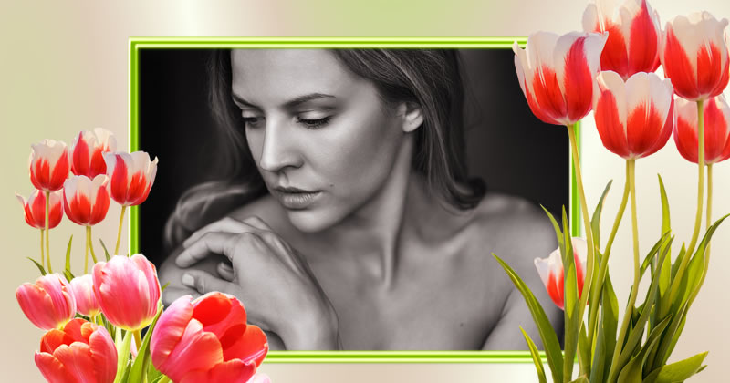 Moldura de tulipas vermelha!