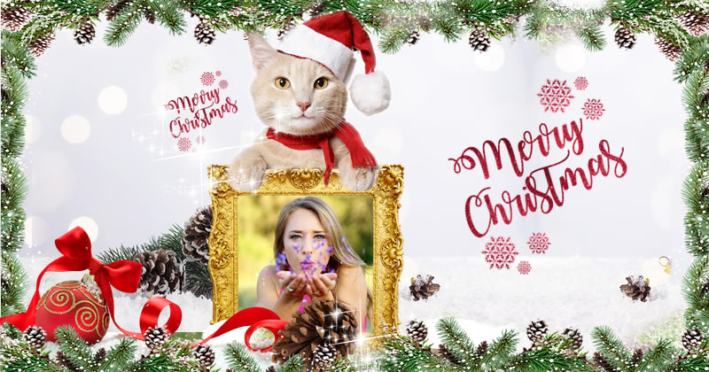 Moldura de Gatinho de Natal.