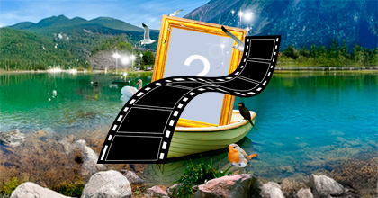 Video animado com pássaros voando no lago com sua foto