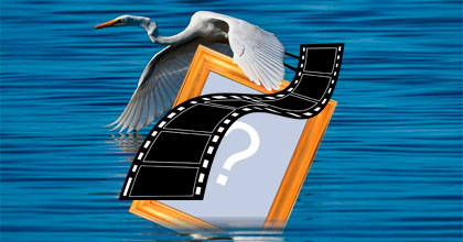 Crie um lindo video com sua foto flutuando na água e Garça voando!