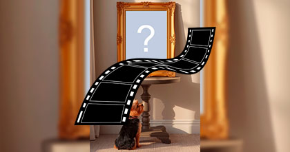 Crie um video com um lindo cãozinho Yorkshire lambendo sua foto na moldura dourada!