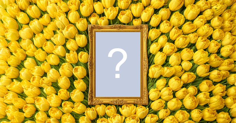 ¡Crea un hermoso video con tu foto y lindas tulipas amarillas!