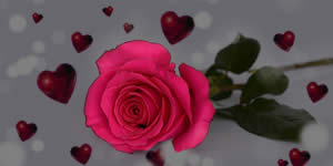 Linda Moldura de Rosas com 6 Fotos. Faça a Sua!