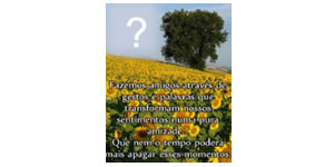 Girassois com Linda Mensagem. Como ficaria sua foto nesta montagem?